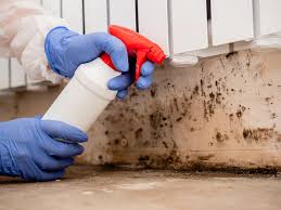 Best Basement Mold Removal in Myersville, MD